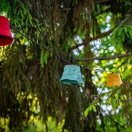 호텔 Corina 비너스