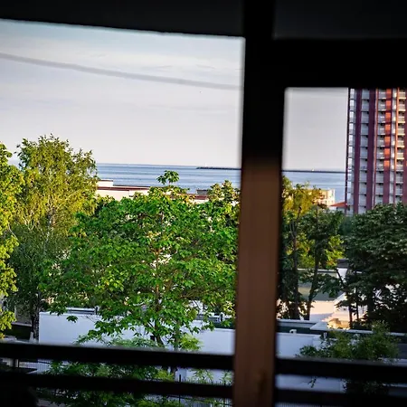 Corina ヴィーナス